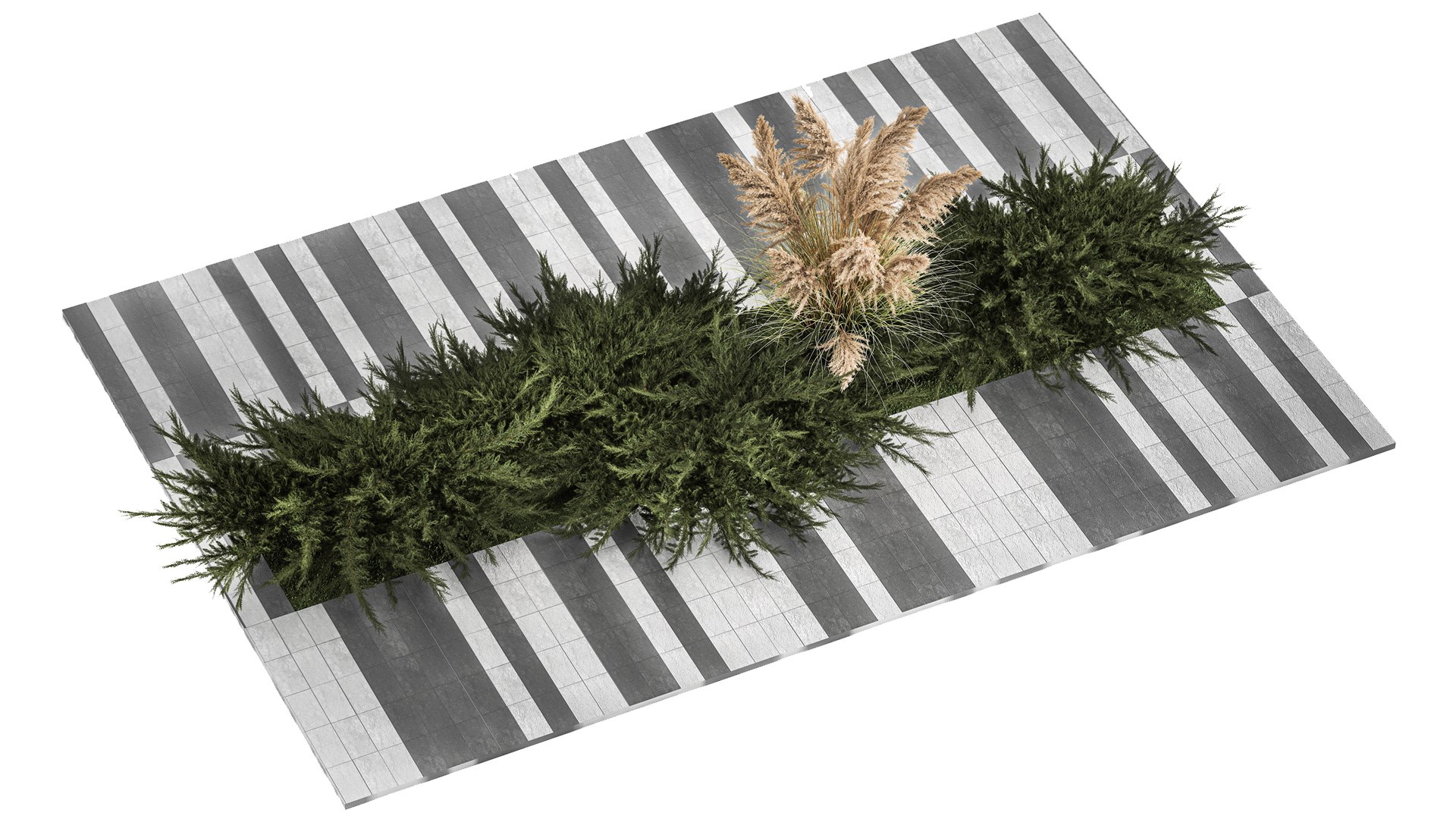 Juniper bushes and pampas grass for landscaping 1170 model https://p.turbosquid.com/ts-thumb/Kg/PCBOEd/0n/1plants0801202203/jpg/1673008917/1920x1080/fit_q87/4c37ef285f54751cfd745451d8e89a0ea14d6269/1plants0801202203.jpg