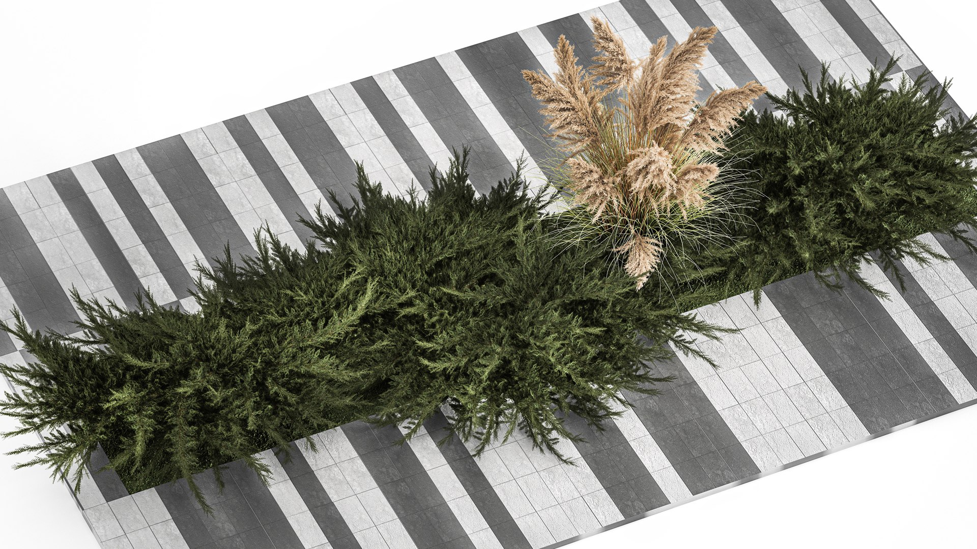 Juniper bushes and pampas grass for landscaping 1170 model https://p.turbosquid.com/ts-thumb/Kg/PCBOEd/H4/1plants0801202204/jpg/1673008916/1920x1080/fit_q87/f88b6c8a7ce4de387b1df051f6ceefaeb55b14bb/1plants0801202204.jpg