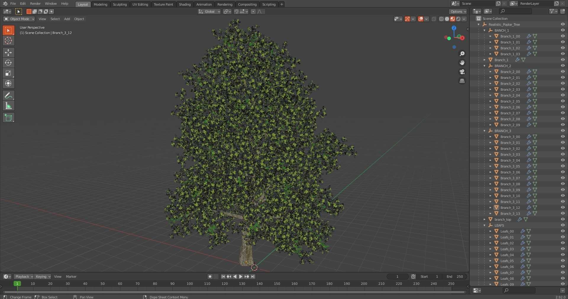 Realistic Poplar Tree 3D Model - TurboSquid 2237050