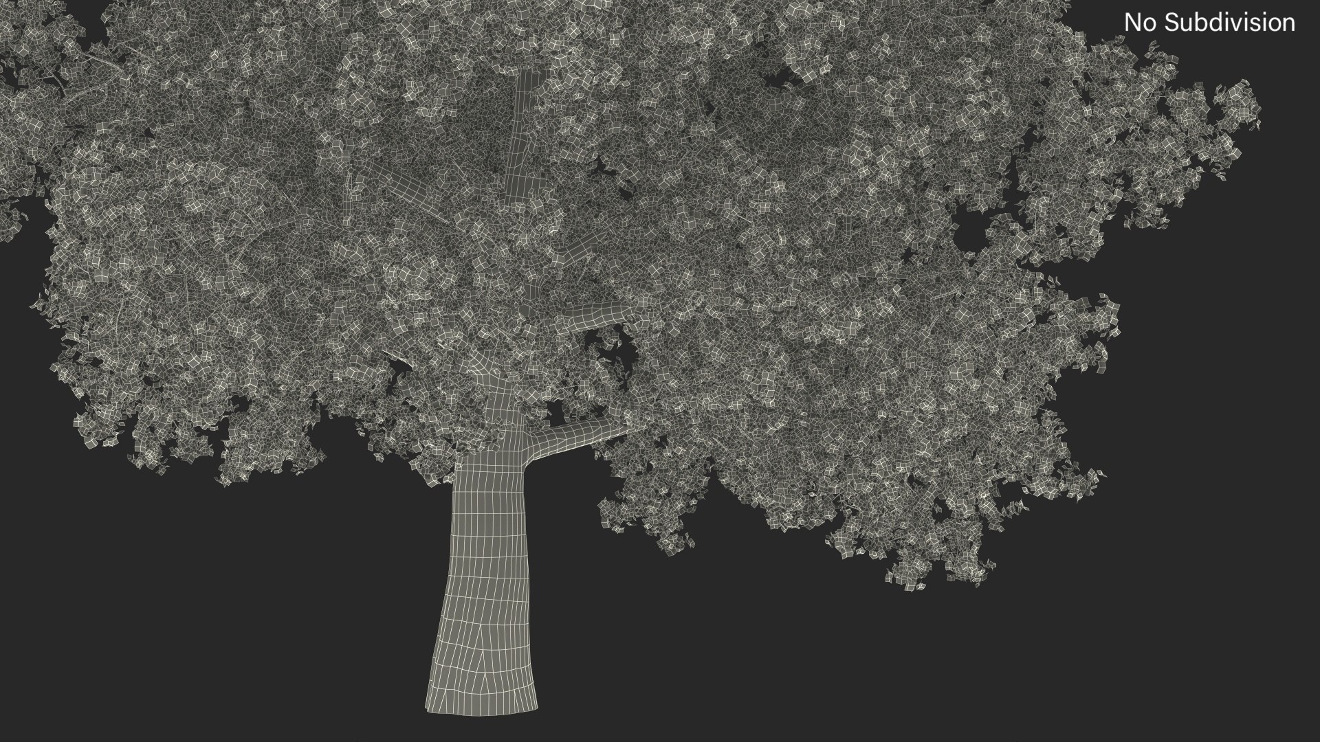Realistic Poplar Tree 3D Model - TurboSquid 2237050