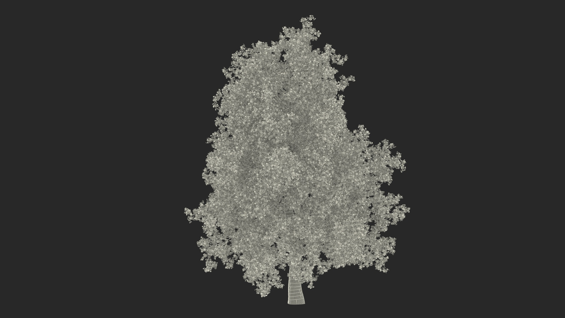 Realistic Poplar Tree 3D Model - TurboSquid 2237050