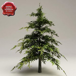 low-poly fir tree 3d model
