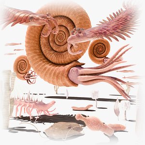 The Cambrian Pack