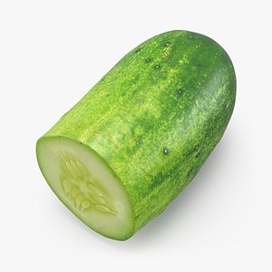 Half Cucumber 03 model