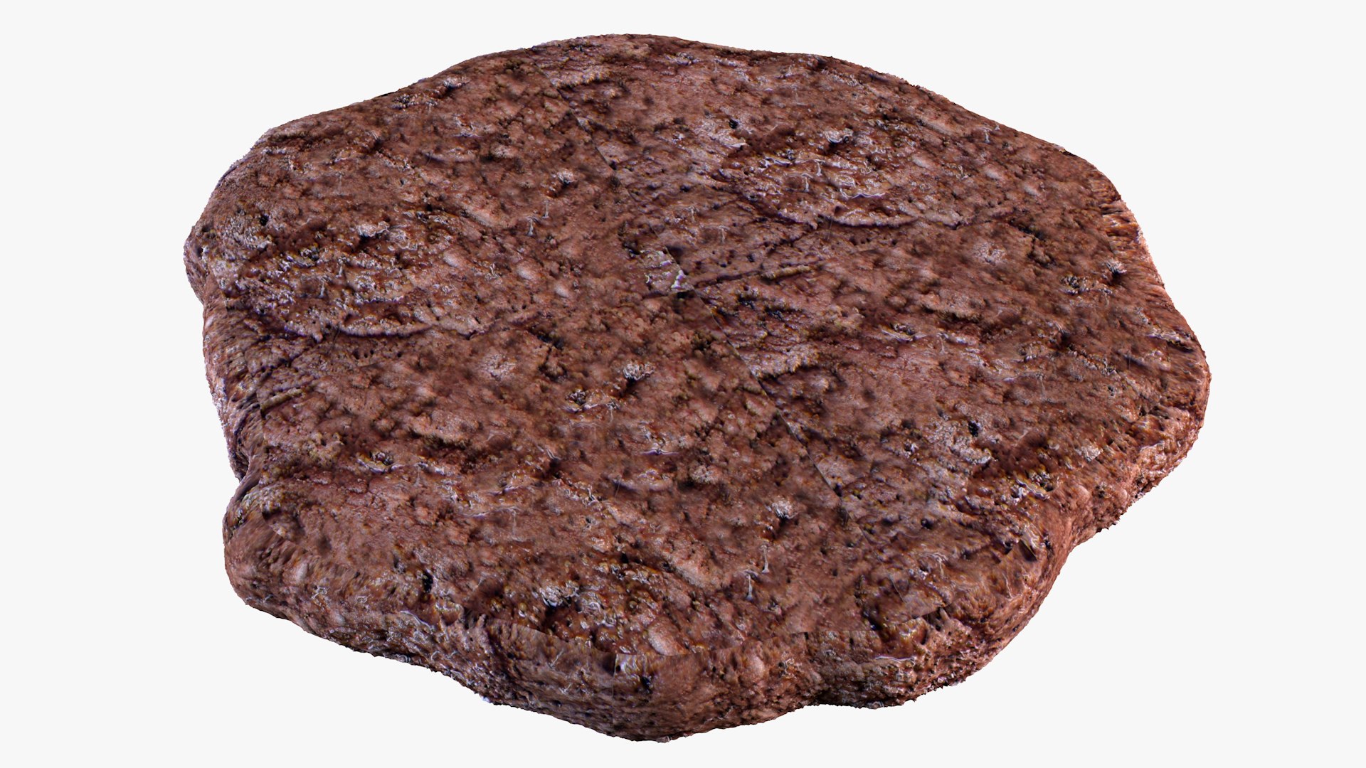 Burger Patty 3D Model TurboSquid 1828132