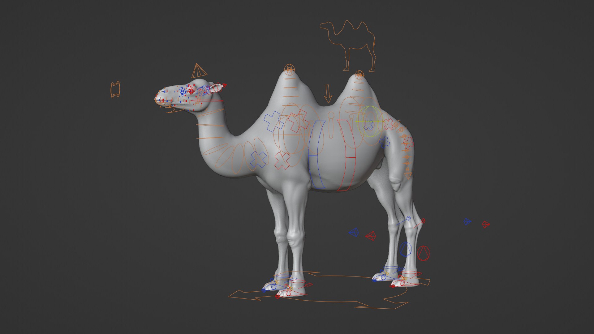 Bactrian Camel Animated 3D model https://p.turbosquid.com/ts-thumb/Kg/uGZ8dv/R8/ju0l506a1_bactriancamel_rig01/png/1653784581/1920x1080/fit_q87/8dde73716374e38f3e397e772e0b916e46b0cb75/ju0l506a1_bactriancamel_rig01.jpg