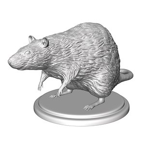 STL file rat souris rongeur mulot tail queue oreilles 🐀・3D