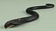 Attaque du Cobra à la peau sombre, truqué et animé pour Cinema 4D