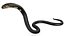 Attaque du Cobra à la peau sombre, truqué et animé pour Cinema 4D