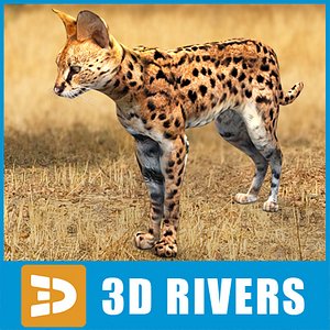 3d model serval cats