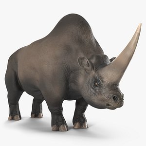3D Elasmotherium Rigged