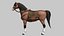 Cheval de dessin animé