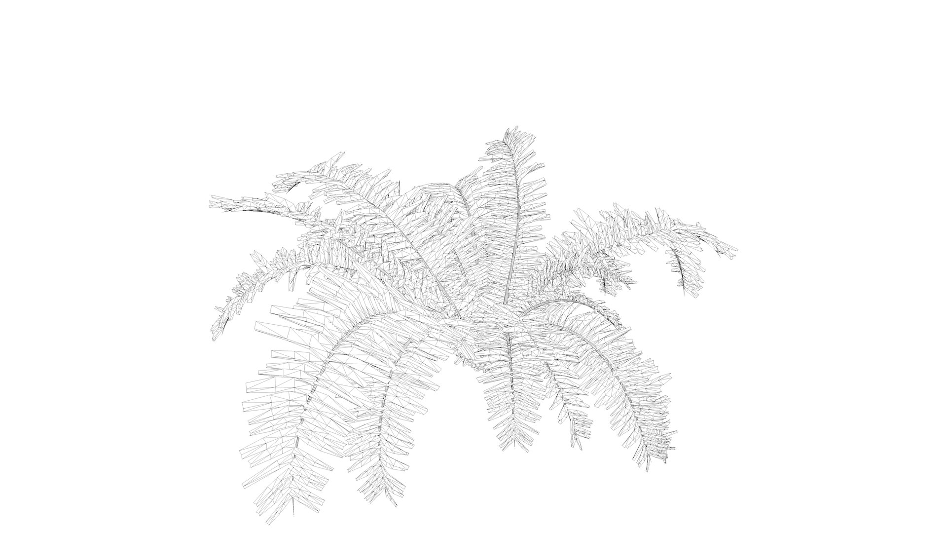 Boston Fern Plant - 04 - 3D Model - TurboSquid 2372559