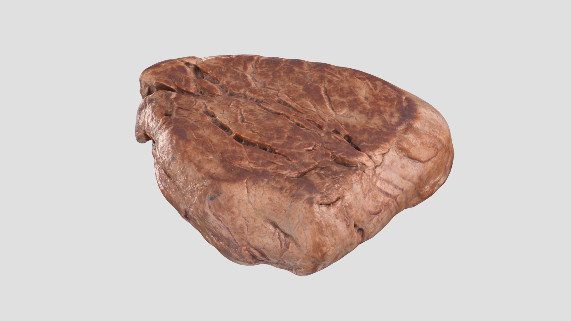 Cooked Fillet Steak 3D Model - TurboSquid 1572216