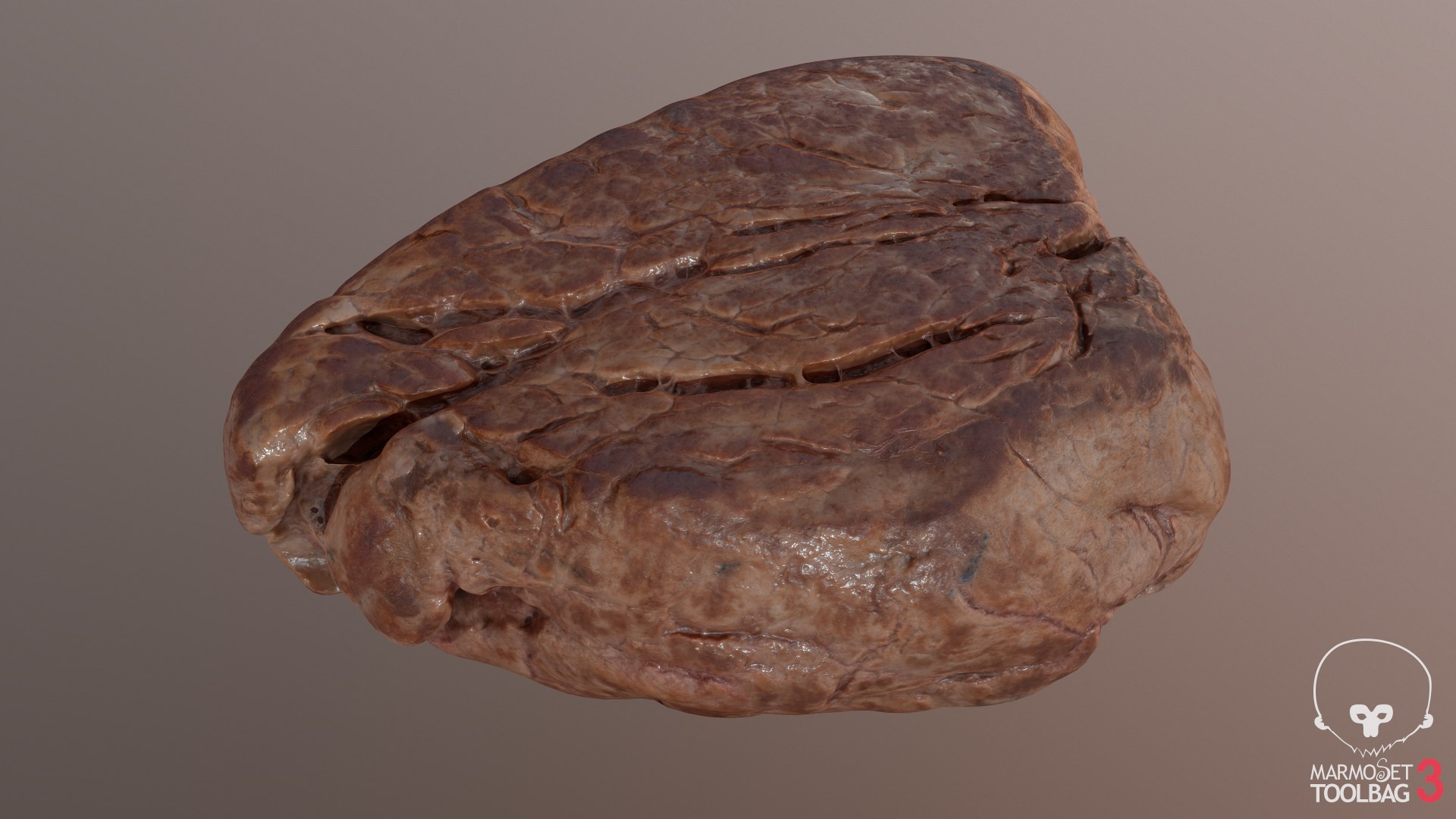 Cooked Fillet Steak 3D Model - TurboSquid 1572216