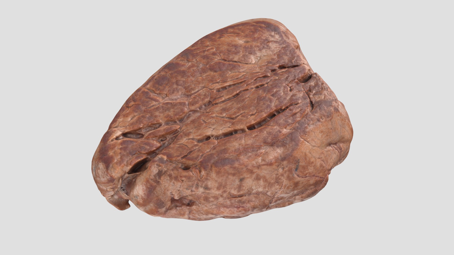 Cooked Fillet Steak 3D Model - TurboSquid 1572216