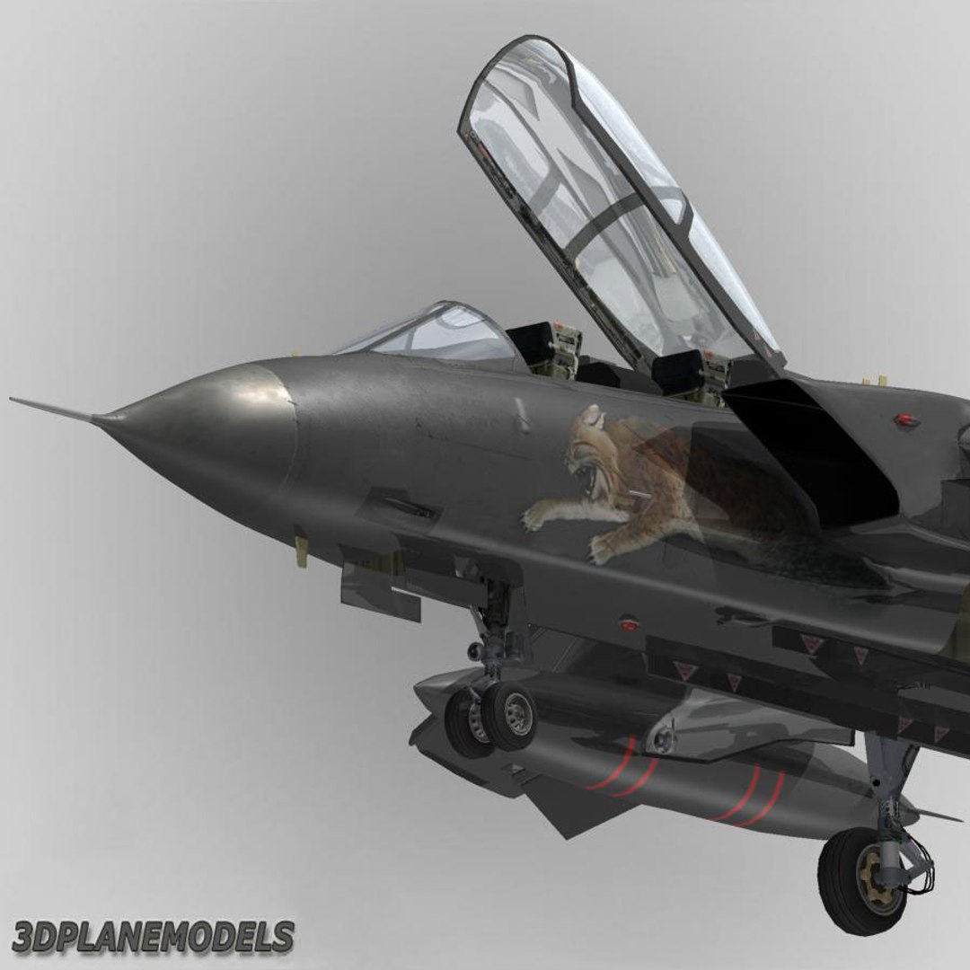 max panavia tornado ids aeronautica https://p.turbosquid.com/ts-thumb/Ki/311uDY/Xqf3H2zt/ptiaf9/jpg/1204655025/1920x1080/fit_q87/f08de01cf00c2339c3f49e17c631e20d791e3333/ptiaf9.jpg