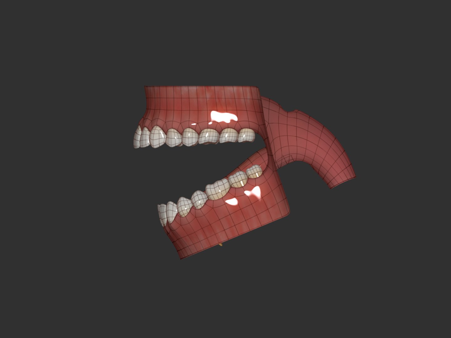 3D model jaw - TurboSquid 1137194