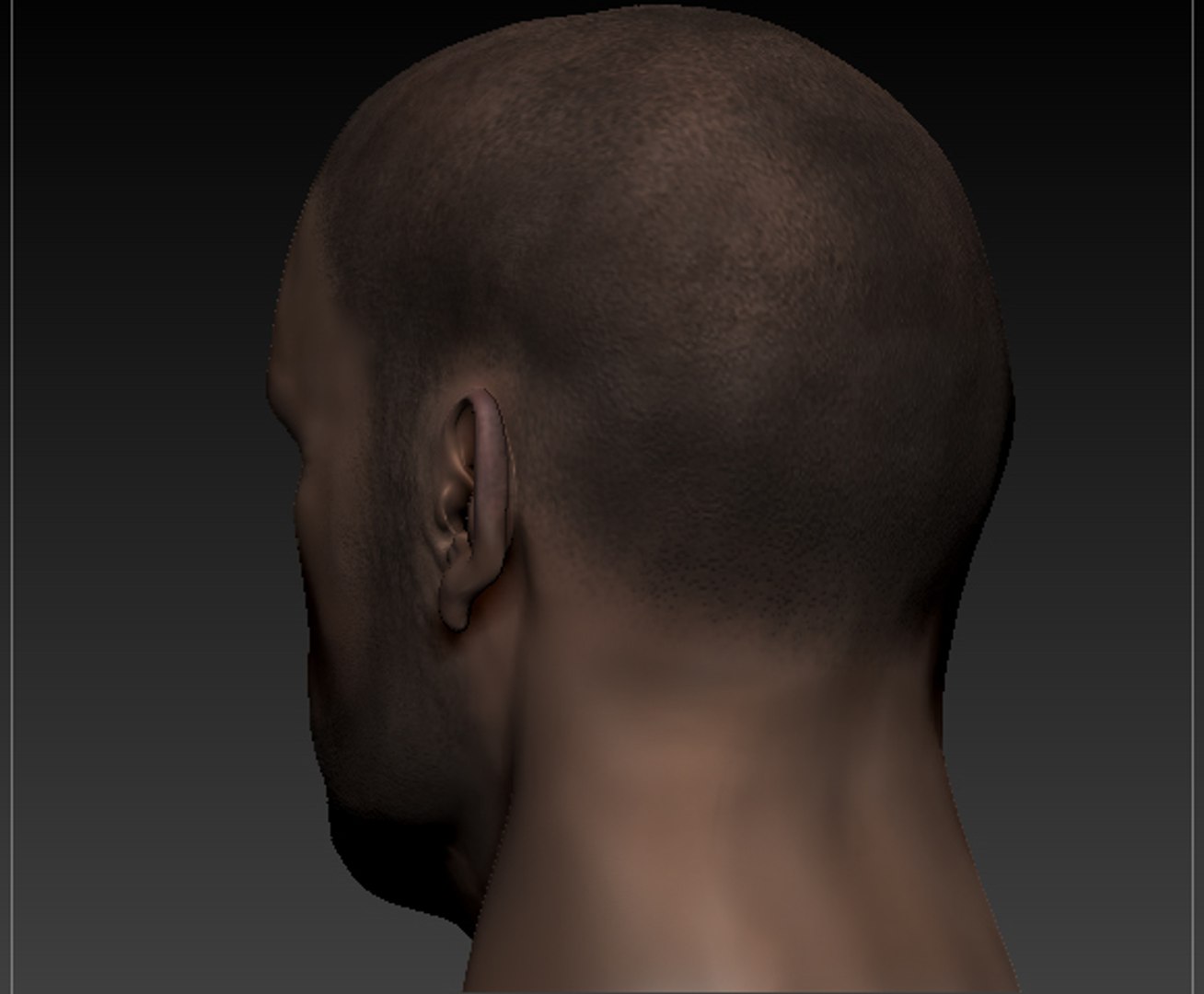 3d face https://p.turbosquid.com/ts-thumb/Ki/87pWIo/GfowFxEH/3/jpg/1356440911/1920x1080/fit_q87/825f652e73025fee53ccf76510c7c544333261f2/3.jpg