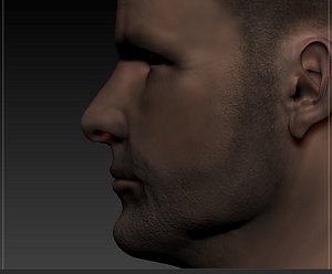 head