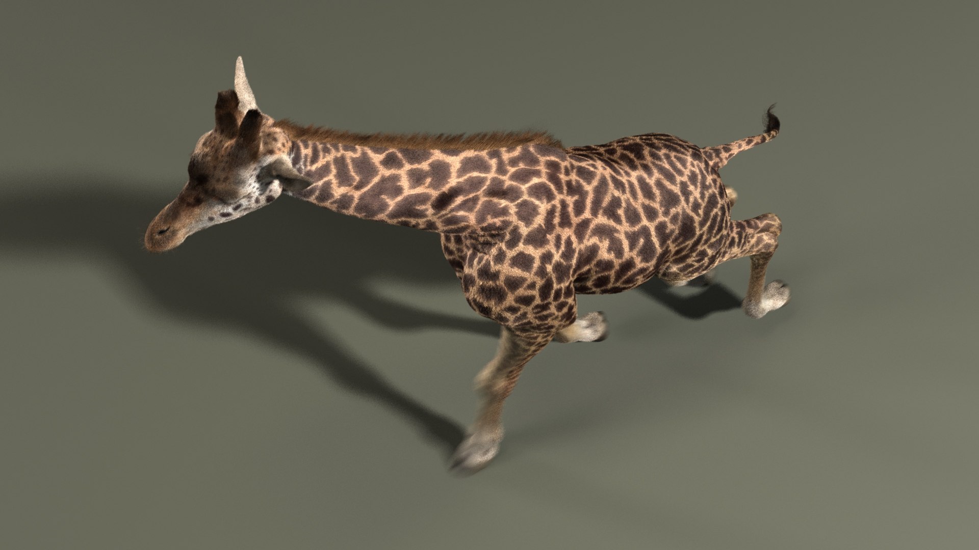 realistic giraffe fur tongue animation 3D https://p.turbosquid.com/ts-thumb/Ki/AgcII8/k0qT4ppQ/giraffe_masai_animated_add_view_01/jpg/1571681354/1920x1080/fit_q87/a5d7917618bcf458f404db6200a86c44ddd73259/giraffe_masai_animated_add_view_01.jpg