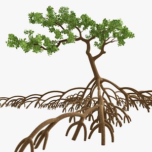 mangrove tree 3ds
