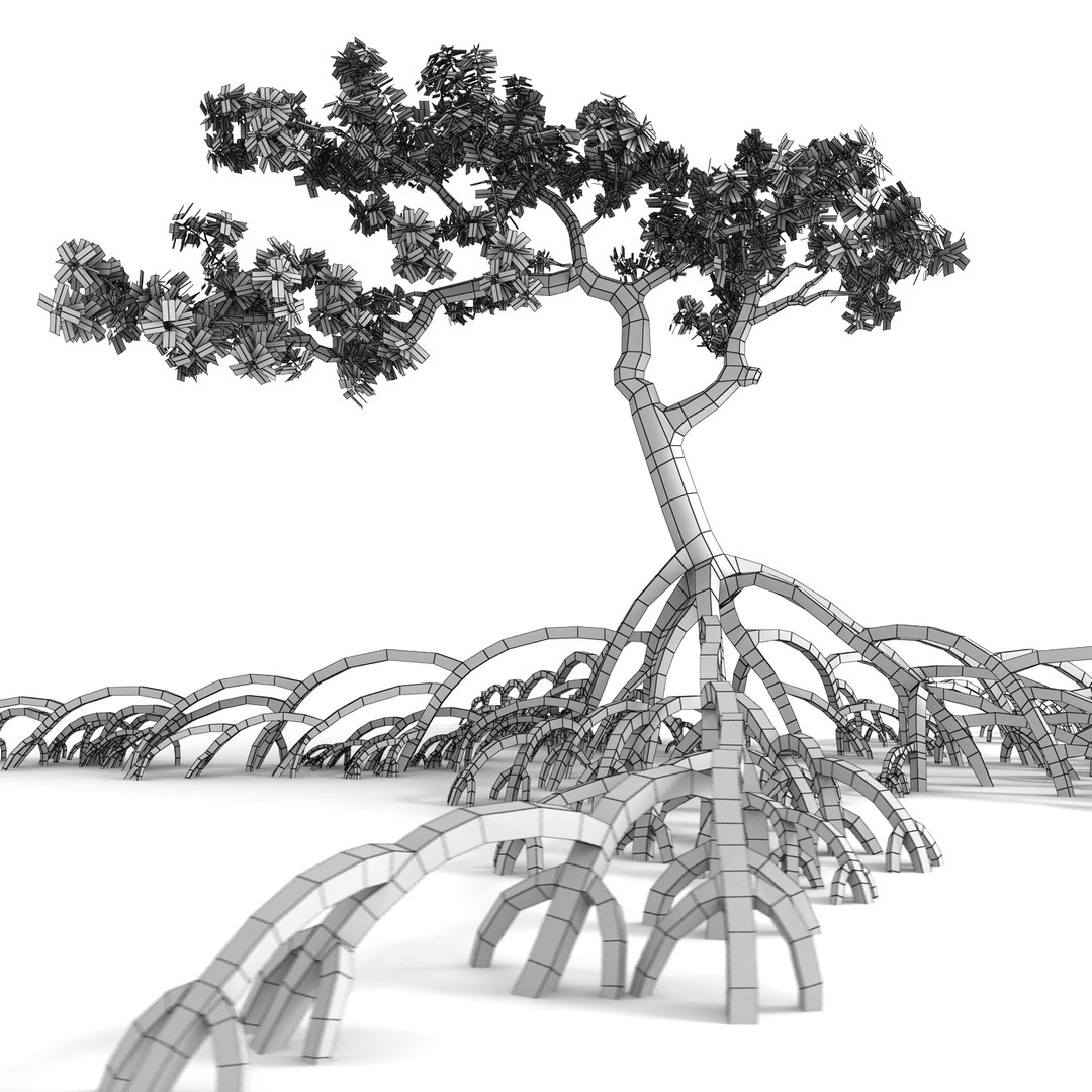 mangrove tree 3ds https://p.turbosquid.com/ts-thumb/Ki/EEesa8/Kd8fVuBw/treer1w/jpg/1351775701/1920x1080/fit_q87/94b7636a2f0529f54ac7f9c5245f101e9c3049de/treer1w.jpg
