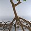 Árbol de mangle