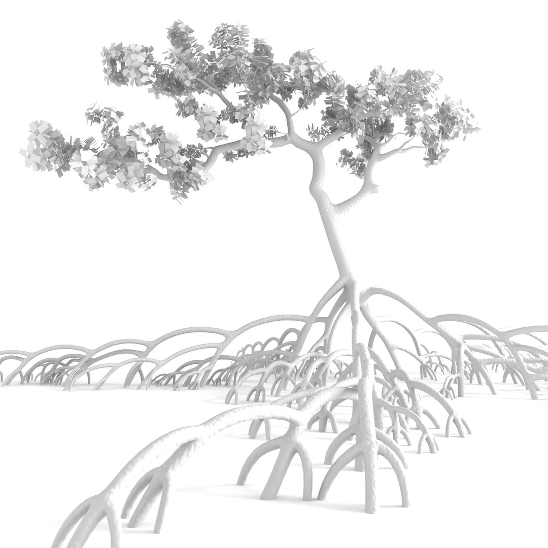 mangrove tree 3ds https://p.turbosquid.com/ts-thumb/Ki/EEesa8/Y2tr0RXU/treer1p/jpg/1351775701/1920x1080/fit_q87/6e265e48c6ba97a45e881228137196058147c44d/treer1p.jpg