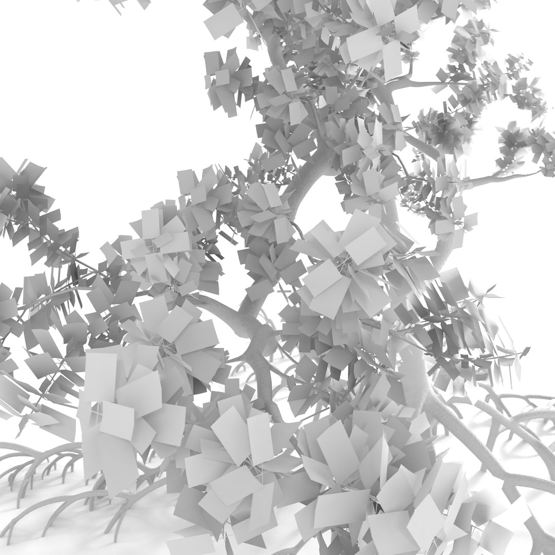 mangrove tree 3ds https://p.turbosquid.com/ts-thumb/Ki/EEesa8/vyajrIBy/treer2p/jpg/1351775701/1920x1080/fit_q87/23c1a107e4ba1b3a64ded821548b264a10375293/treer2p.jpg