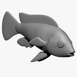 Electric Yellow Cichlid Fish