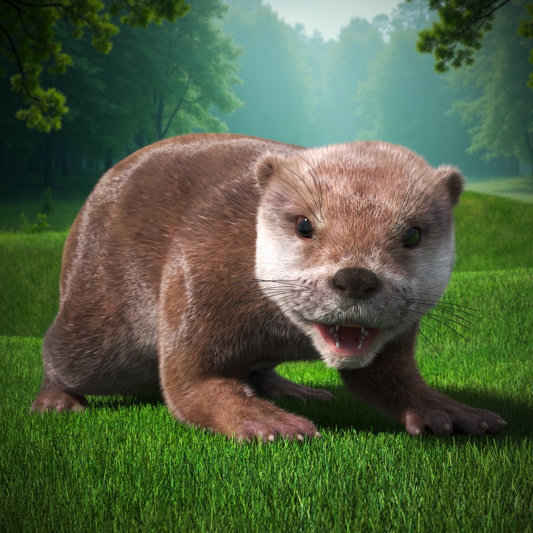 Aquatic Otter Walking Fur Animated Rigged 3D model preview