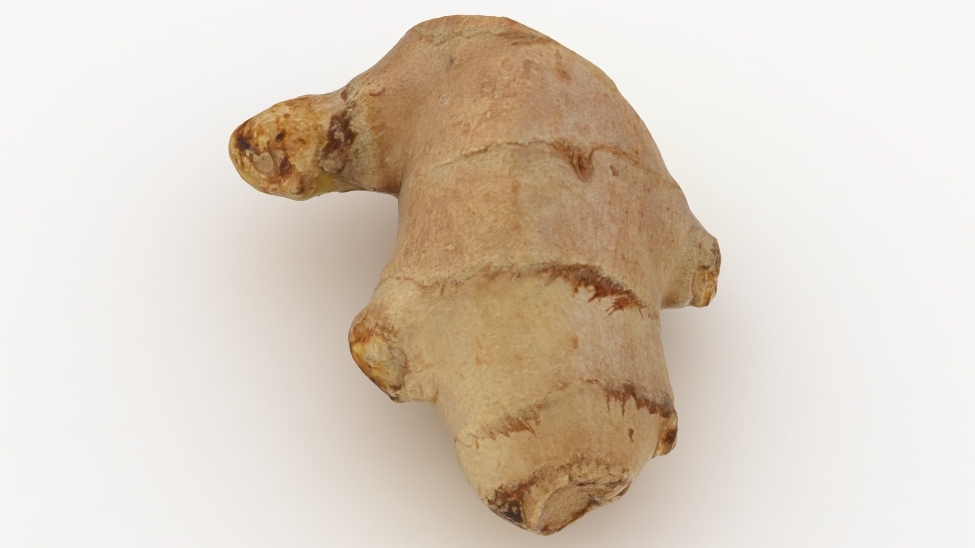 cut ginger 3D model https://p.turbosquid.com/ts-thumb/Ki/c8suz2/Uc/lemon_rr_13/jpg/1616058804/1920x1080/fit_q87/c4b17440bc8a9122879b5a869da1a574ebde953c/lemon_rr_13.jpg