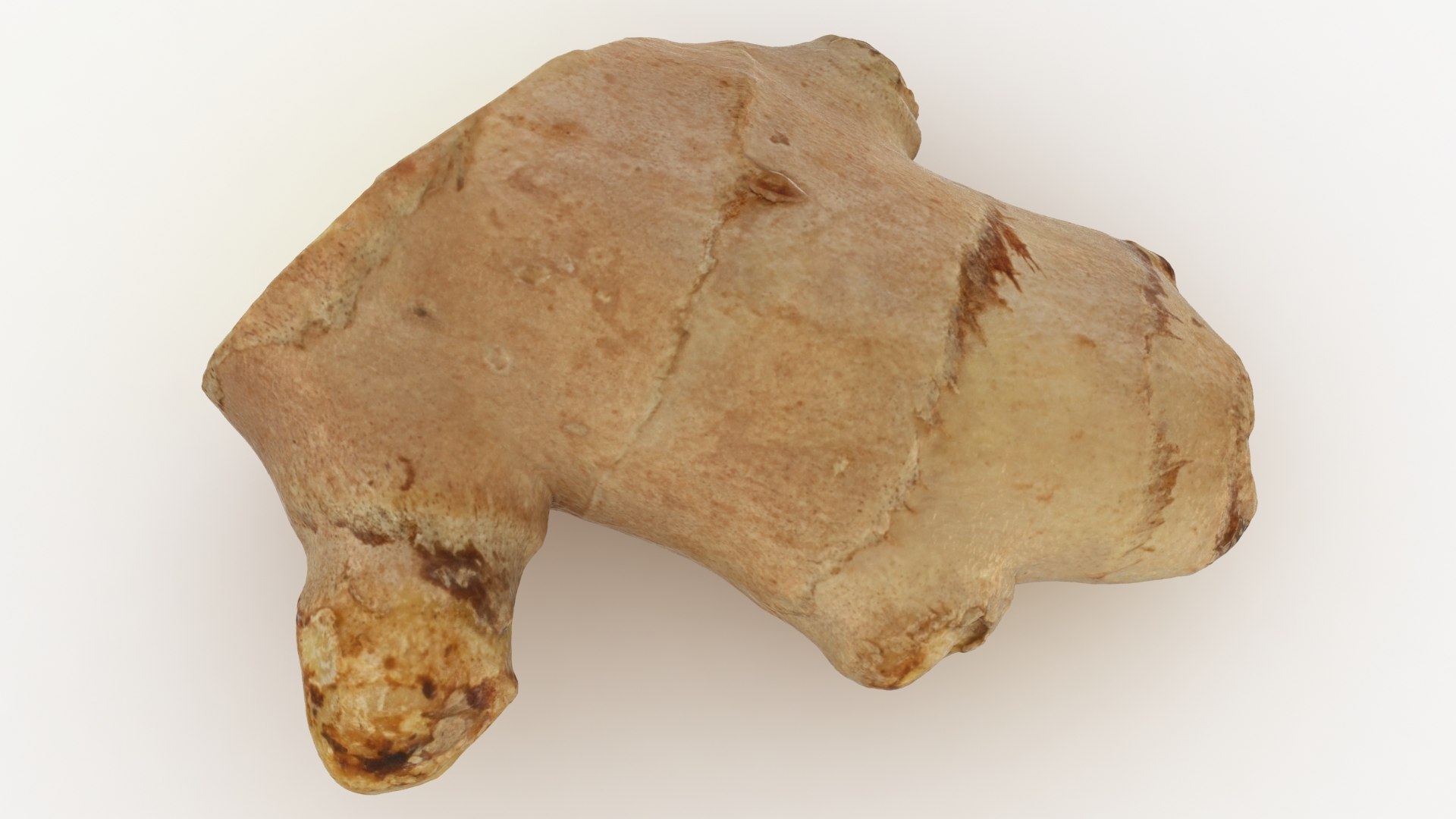 cut ginger 3D model https://p.turbosquid.com/ts-thumb/Ki/c8suz2/X6/lemon_rr_04/jpg/1616058806/1920x1080/fit_q87/45d2f890d89c441c2e45a445c660543f3e71d3ce/lemon_rr_04.jpg