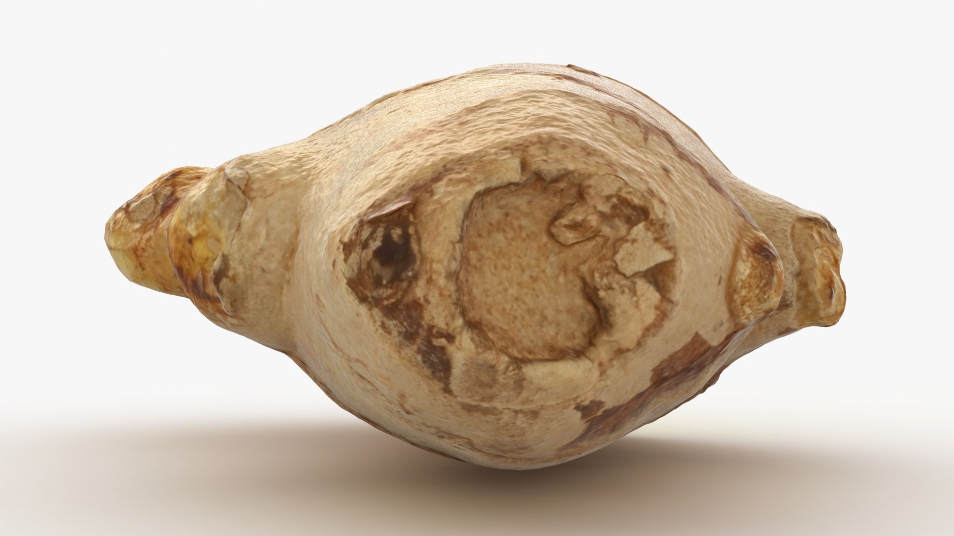 cut ginger 3D model https://p.turbosquid.com/ts-thumb/Ki/c8suz2/uo/lemon_rr_03a/jpg/1616058804/1920x1080/fit_q87/4cee2358960dcb217892be0648600f45e12edff0/lemon_rr_03a.jpg