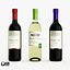 max 11 bordeaux shaped wine bottles