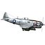 공화국 P-47D 벼락 - 치킨 뼈