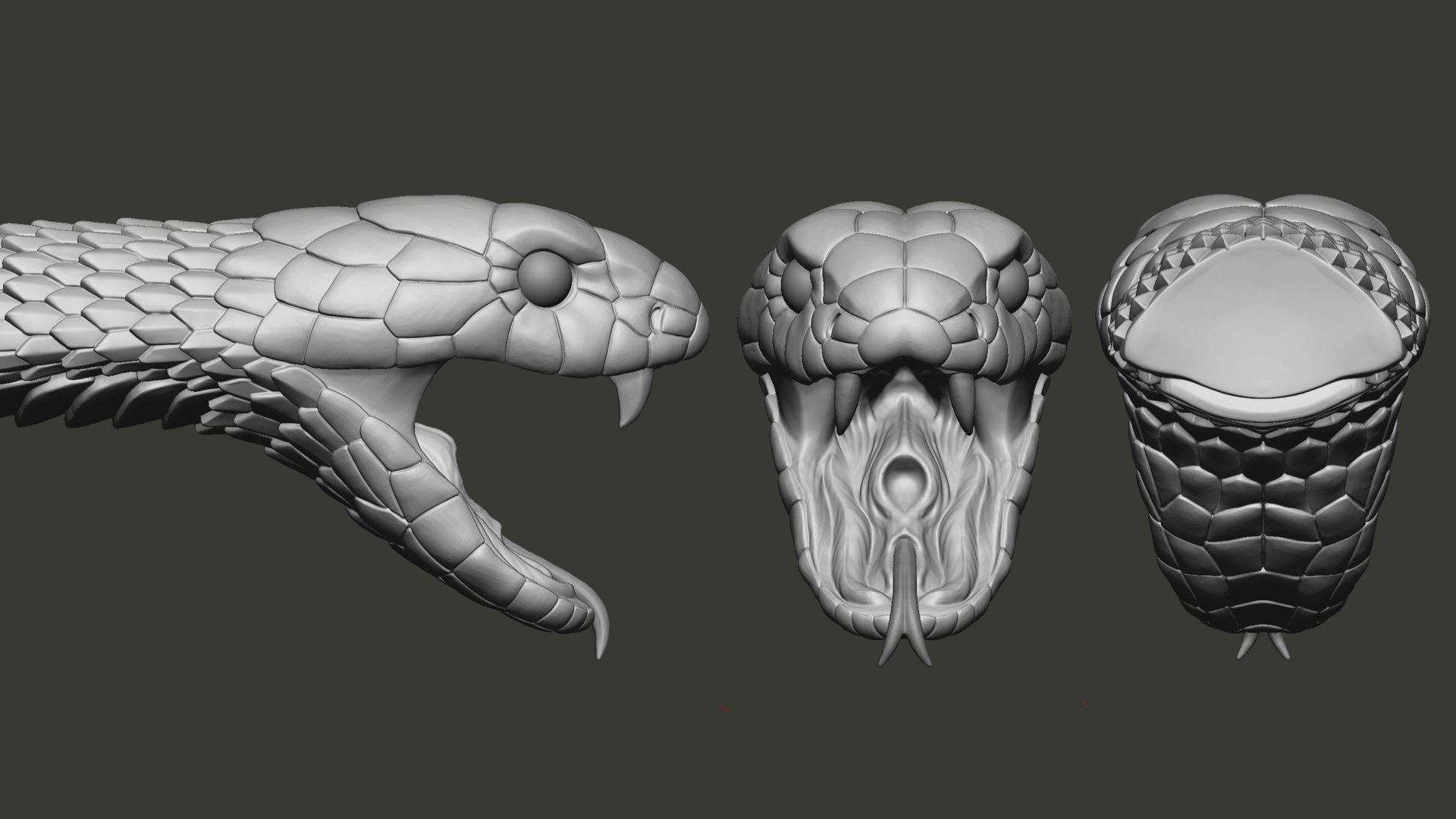3D Cobra Snake head Open Mouth Sculpture model https://p.turbosquid.com/ts-thumb/Ki/lwuzFm/MY/cobraheadopenmouthsculpture3dmodelzbr01/jpg/1732883097/1920x1080/fit_q87/2deb4aa60148b7e7ef66753db481053b56535255/cobraheadopenmouthsculpture3dmodelzbr01.jpg
