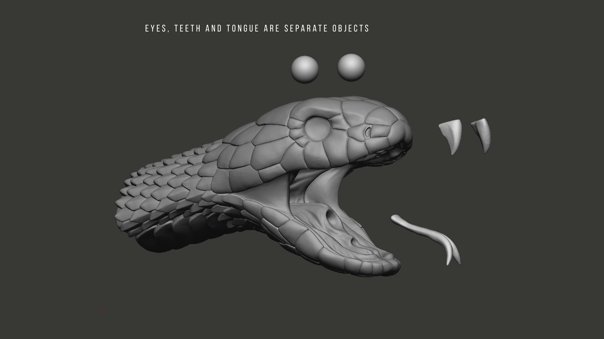 3D Cobra Snake head Open Mouth Sculpture model https://p.turbosquid.com/ts-thumb/Ki/lwuzFm/sV/cobraheadopenmouthsculpture3dmodelzbr05/jpg/1732883094/1920x1080/fit_q87/d5081ddc4b306a914e2646b9446affba42bd41c6/cobraheadopenmouthsculpture3dmodelzbr05.jpg