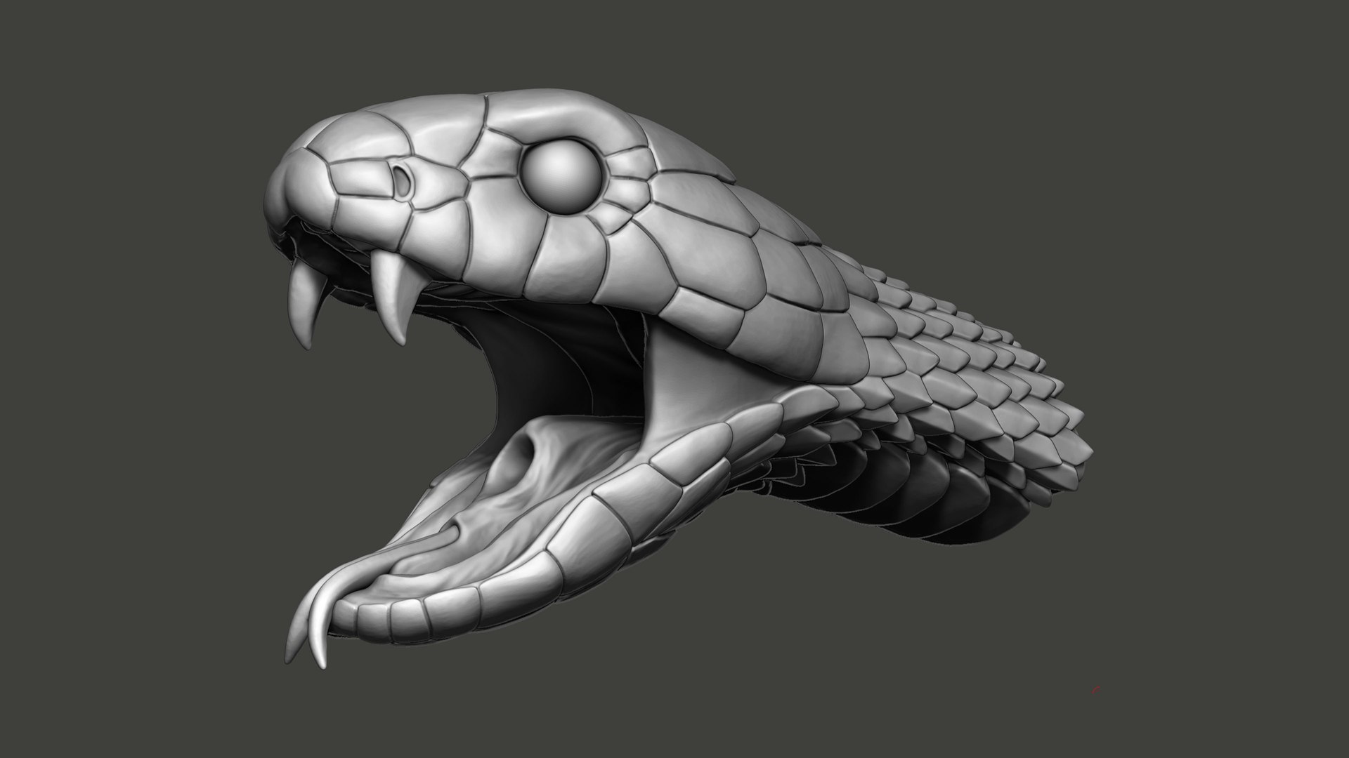 3D Cobra Snake head Open Mouth Sculpture model https://p.turbosquid.com/ts-thumb/Ki/lwuzFm/tc/cobraheadopenmouthsculpture3dmodel05/jpg/1732883099/1920x1080/fit_q87/5b903236b48cc918fe848af5f85dc031e0c32d1c/cobraheadopenmouthsculpture3dmodel05.jpg