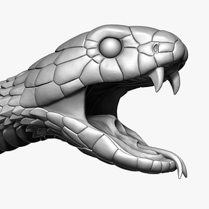 3D Cobra Snake head Open Mouth Sculpture model