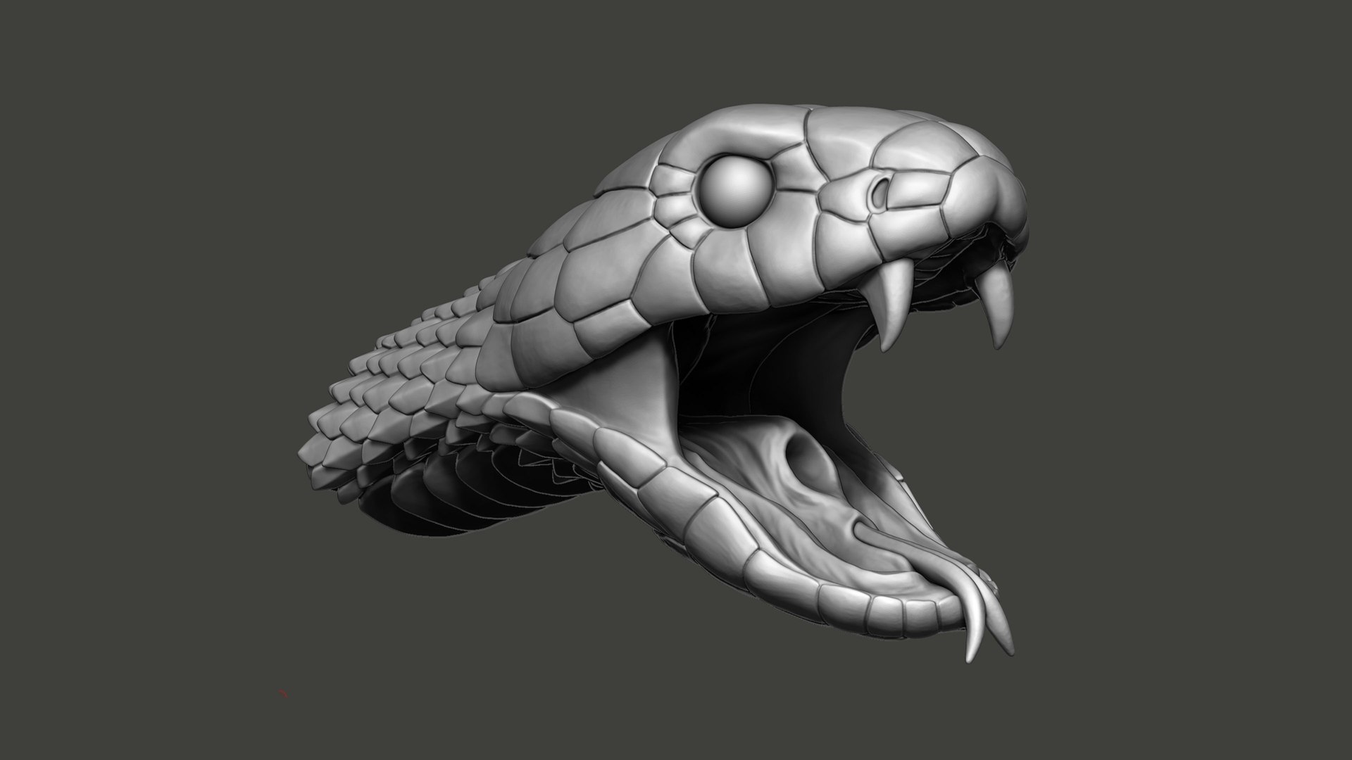 3D Cobra Snake head Open Mouth Sculpture model https://p.turbosquid.com/ts-thumb/Ki/lwuzFm/zI/cobraheadopenmouthsculpture3dmodel02/jpg/1732883100/1920x1080/fit_q87/b5bedd79c1b3313b35d06e16727ea36b2478b439/cobraheadopenmouthsculpture3dmodel02.jpg
