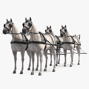 Four White Horses in Breast Collar Harness 3D model