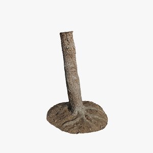 3D model Anydrafts Abies fabri Trunk 18