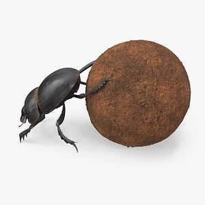 3D Roller Beetle Pushing Sphere Dirt Fur