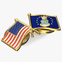 US and Air Force Lapel Pin