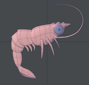 Shrimp_Cartoon