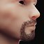 Stubble Low Poly 6