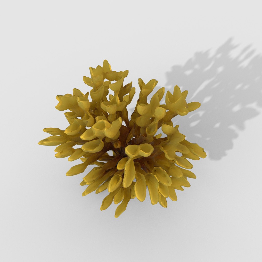 3D Photorealistic Seaweed Pack https://p.turbosquid.com/ts-thumb/Kj/G8vWXT/gm/5/jpg/1776497132/1920x1080/fit_q87/1e59884b8cfef0e0d02d926463a5edef3e6062a3/5.jpg
