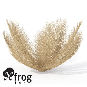 3d model xfrogplants naked basket star